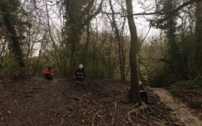 Latest news » If you go down to the woods today